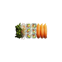 just-salmon