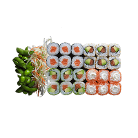 super-salmon