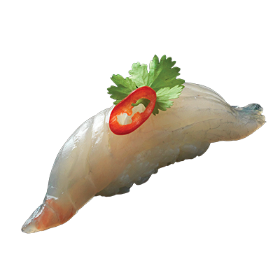nigiri-dorada