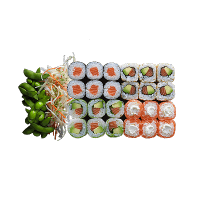 super-salmon
